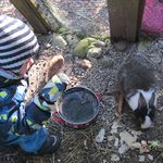 Waldkindergruppe